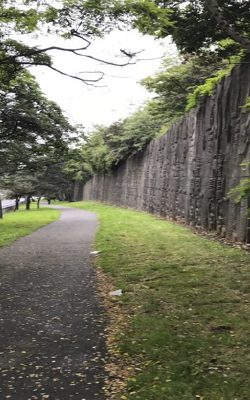 the-wall-today-2