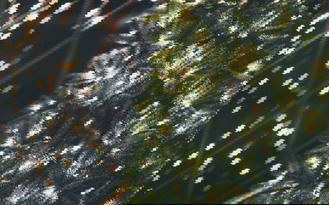 2024 Kidderminster Christmas Lights Switch On