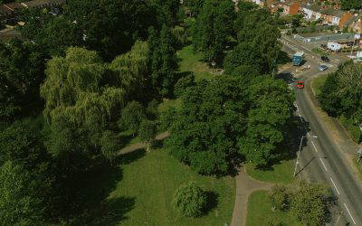 Public Realm and Operations