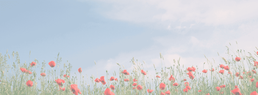 Remembrance Sunday Parade and Service 2024